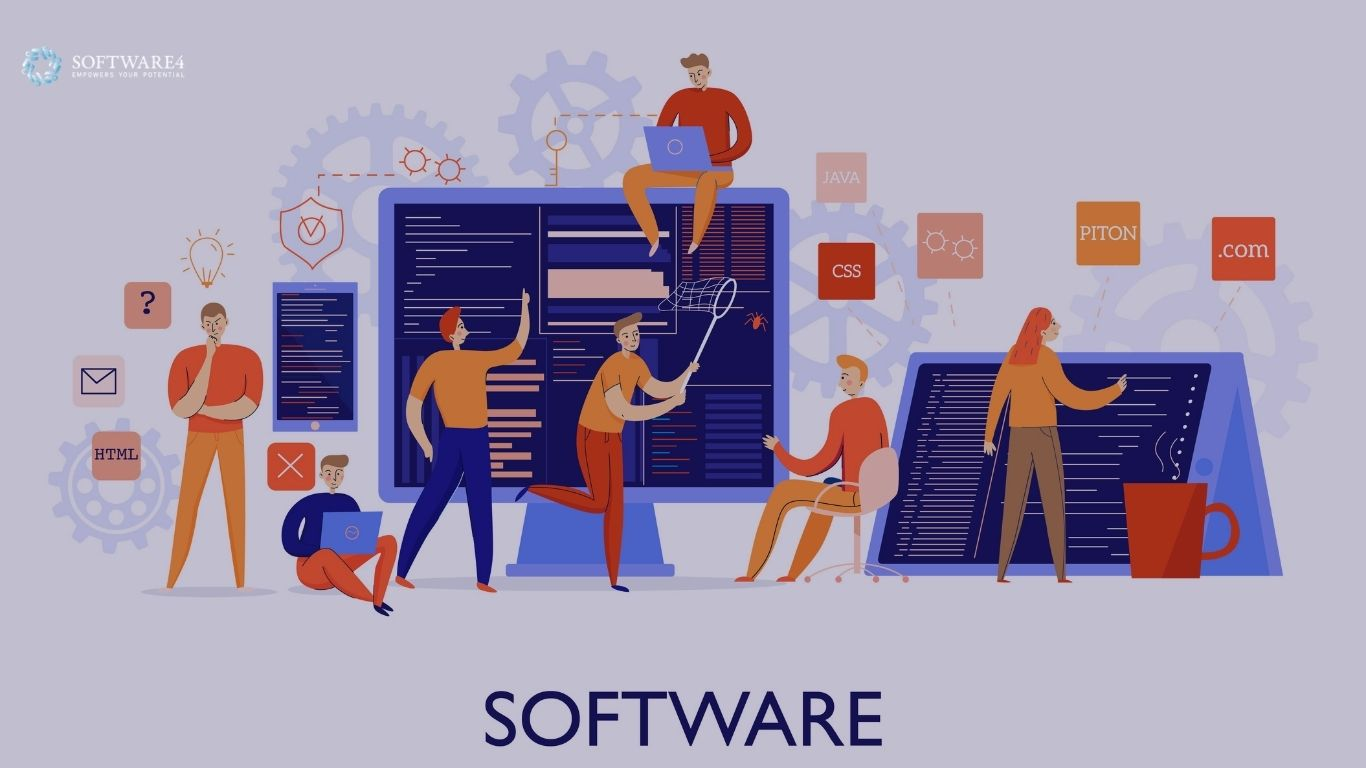 Professional level Custom Software Development Service for your business growth